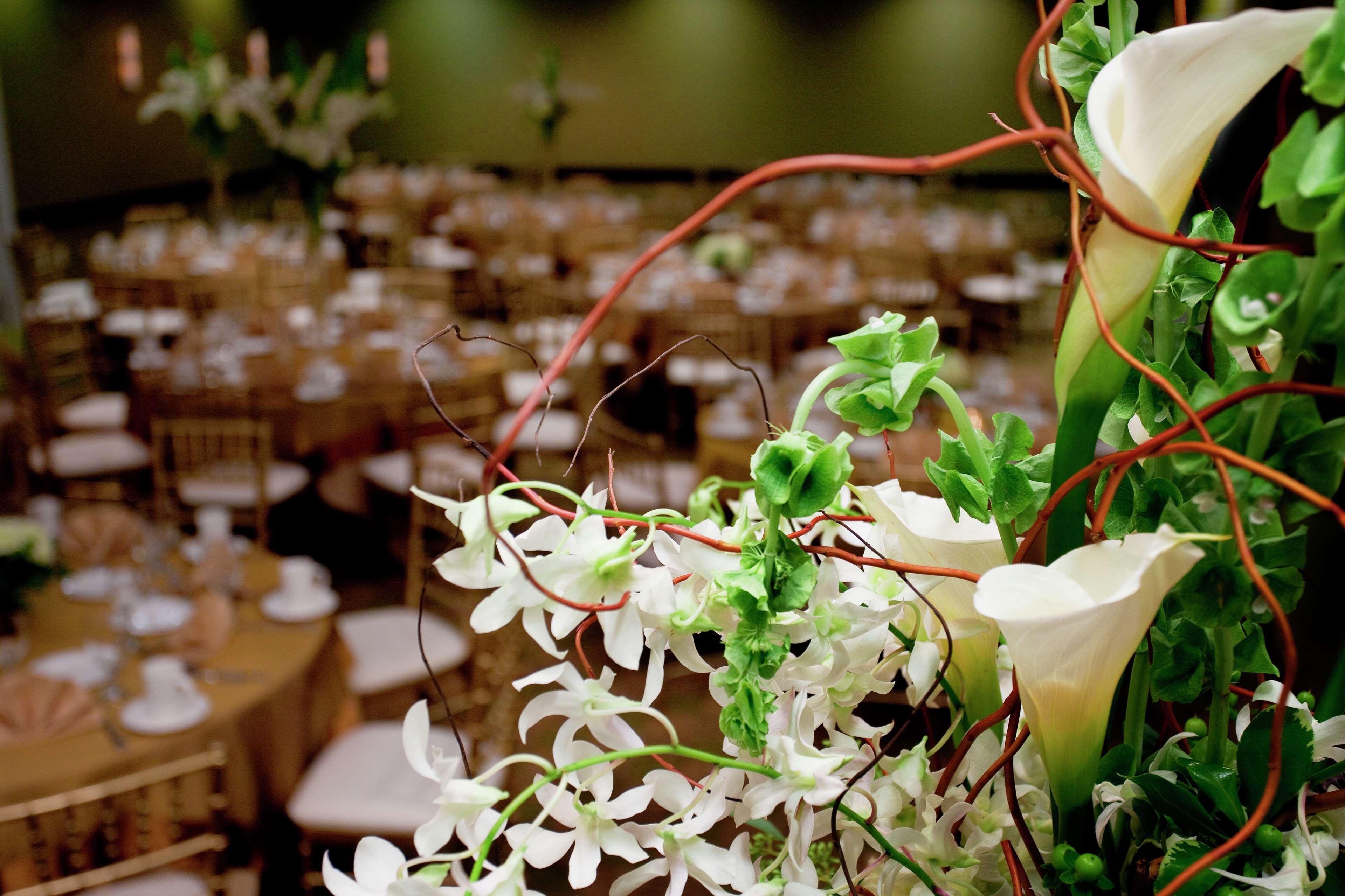 Hilton Garden Inn Seattle/Ботелл Екстер'єр фото